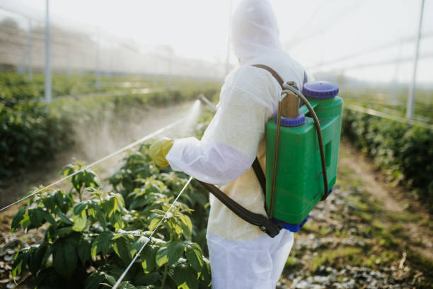 Best Exterminator Services  in Bayou Cane, LA
